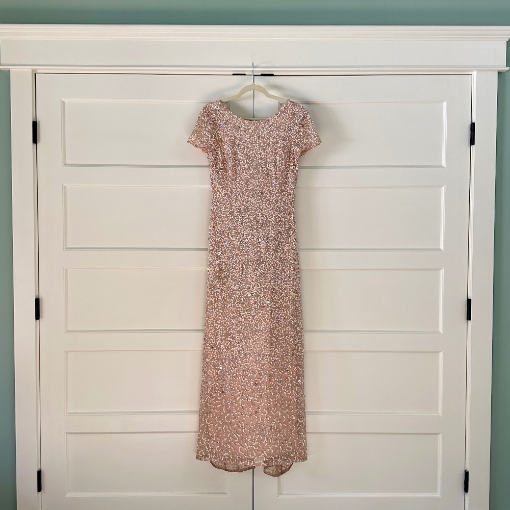 Adrianna Papell Blush Sequined Gown